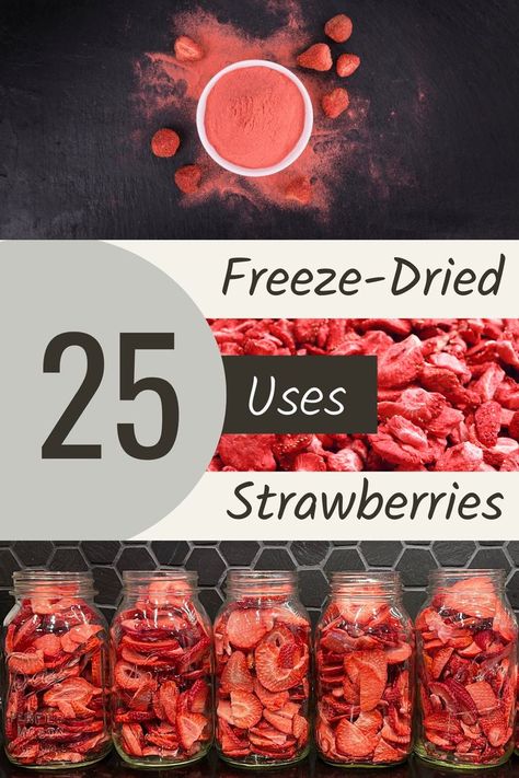 Do you want to learn how to freeze dry strawberries and discover the amazing ways they can be used? Freeze-dried strawberries are one of the healthiest and most flavorful snacks around, and they can also be used to add a delicious dimension to all kinds of recipes. In this guide, we'll show you how to freeze dry strawberries and showcase 25 of the best ways to use them. Get ready to get creative, because the possibilities are truly endless! Dehydrated Strawberries Recipes, Uses For Freeze Dried Strawberries, Freeze Dried Fruit Uses, Recipes With Freeze Dried Strawberries, Rehydrating Freeze Dried Food, Healthy Freeze Dried Snacks, Freeze Dried Strawberry Recipes, Freeze Dried Recipes, Freeze Dry Strawberries