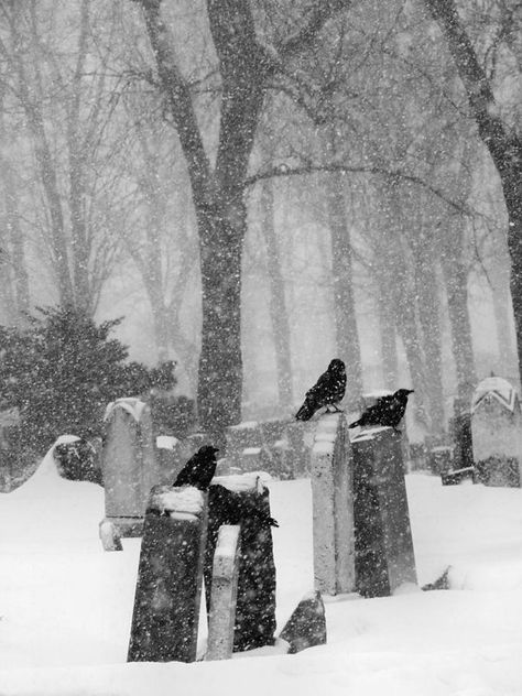 Gothic Aestethic, White Goth Aesthetic, Paradis Sombre, Gothic Winter, White Goth, Doom Metal, Travel Architecture, Dark Christmas, Ghost Story