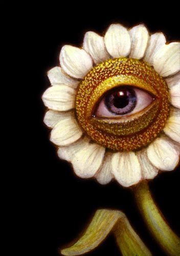 Naoto Hattori Surreal Sketch, Naoto Hattori, Focus Images, Eye Center, Seeing Eye, Japanese Pop, Gcse Art, Creative Illustration, Pop Surrealism