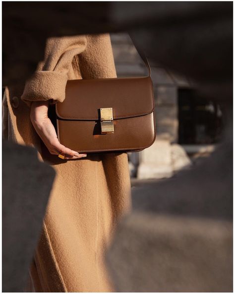 Celine Box Bag Outfit, Celine Classic Box Bag, Excited Cat, Celine Classic Box, Celine Box Bag, Celine Box, Summer Outfits Minimalist, Classic Bags, Women's Casual Style