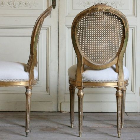 French Room, Gold Chairs, Furniture Concept, Gold Dining Room, Heritage Architecture, Cane Dining Chairs, Sofa Single, Cane Back Chairs, Creative Chaos