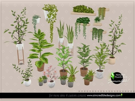 The Sims Resource - Naturalis Plants II Sims 4 Cc Plant Clothes, Sims 4 Vertiligo, Sims 4 Cc Indoor Plants, Sims4 Cc Plants Patreon, Sims 4 Simcredible Cc, Sims 4 Indoor Plants, Sims 4 Cc Exterior Plants, Sims 4 Cc Simcredible, Sims 4 Home Decor Cc Free