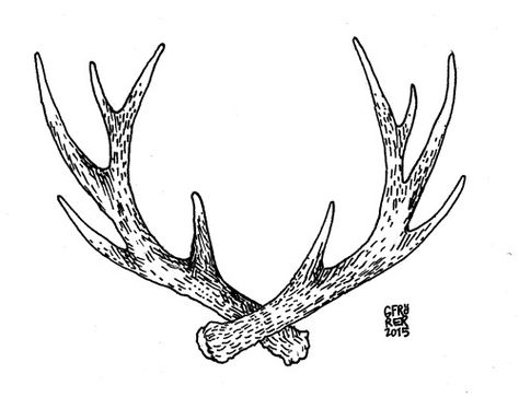 A pretty little antler tattoo to honor a father who loves hunting. Tattoo commissions from my Etsy shop. Deer Antler Tattoos, Deer Antler Tattoo, Buck Tattoo, Antler Tattoos, Antler Tattoo, Deer Skull Tattoos, Stag Tattoo, Hunting Tattoos, Super Tattoo