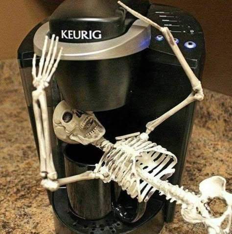 Skeleton Pics, Silly Skeleton, Fun Diy Halloween Decorations, Horror Vintage, Funny Skeleton, A Skeleton, Need Coffee, Oui Oui, Coffee Love