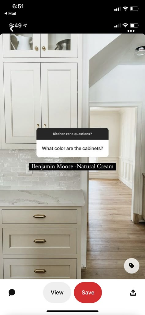 Cream And White Kitchen, Cream Colored Kitchen Cabinets, Kitchen Color Trends, Cream Kitchen Cabinets, Taupe Kitchen, Painted Kitchen Cabinets Colors, House Color Palettes, New House - Kitchen, Kitchen Cabinet Colors