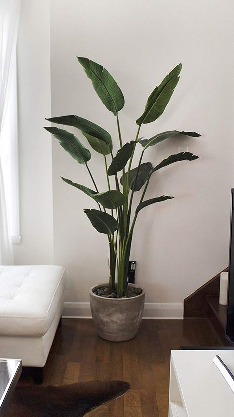 Large Fake Plants, Tall Fake Plants, Plant Decor Living Room, Living Room Plants Decor, Faux Plants Decor, Birds Of Paradise Plant, Best Artificial Christmas Trees, Tall Indoor Plants, Bird Of Paradise Plant