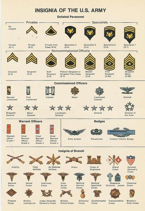 Miejski Survival, Vojenský Humor, Airplane Room, Army Ranks, Military Ranks, Army Patches, Military Insignia, Army Strong, Army Life