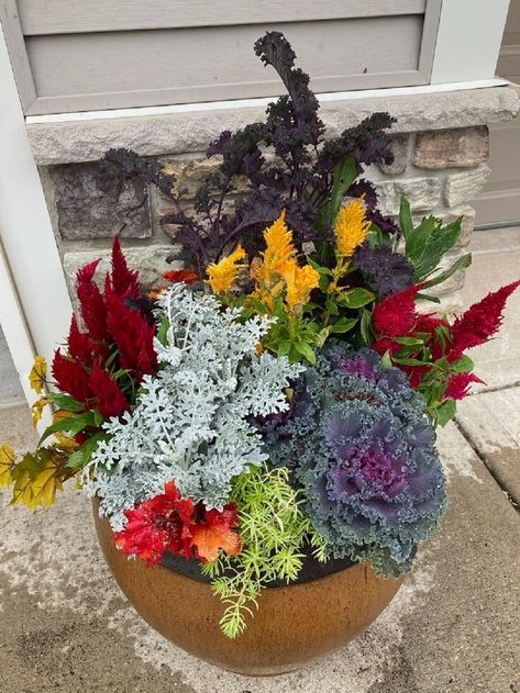 Facebook Fall Containers Planters Sun, Fall Flower Planters, Annual Pots, Fall Potted Plants, Fall Pots, Fall Container Gardens, Fall Containers, Fall Planters, Plant Box