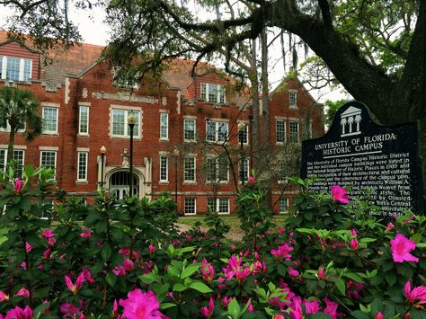 Anderson Hall in spring, University of Florida campus  photo: P Marlin University Of Central Florida Aesthetic, Beach University, University Of Florida Campus, Florida State University Aesthetic, Florida State University Campus, University Of North Florida, College Vision Board, University Of South Florida, Future Vision