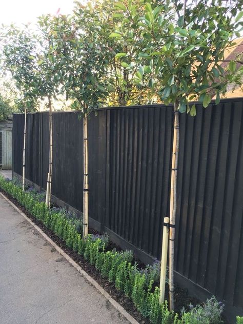 Privacy Fence Landscaping Ideas, Fence Landscaping Ideas, Backyard Privacy Fence, Black Garden Fence, Landscaping Privacy, Privacy Fence Landscaping, Black Fence, Privacy Fence Designs, Privacy Landscaping