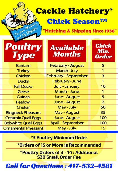 Chicken Availability Chart Chicken Hatchery, Quail Eggs, Kitchen Helper, Pet Chickens, Baby Chicks, Chickens Backyard, Coop, Cooking Tips, Dates