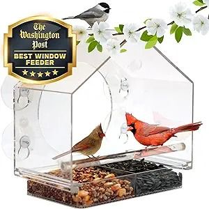 Amazon.com : Nature Anywhere Premium Clear Plastic Window Bird Feeder for Outside - Window Bird Feeders with Strong Suction Cups - Transparent Bird Feeder Window Mount Acrylic Bird House for Cat Window Perch : Patio, Lawn & Garden Bird Watching Gifts, Cat Window Perch, Window Perch, Window Bird Feeder, Wild Bird Feeders, Cat Window, Clear Window, Outdoor Decor Backyard, Bird Seed