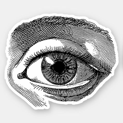 Vinyl Sticker Vintage graphic image Eye. Various sizes are available. Fun and stylish vinyl sticker for your laptop, notebook, etc. Eyes Sticker, Rock Argentino, Collage Images, Shop Vinyl, Black And White Stickers, Vintage Stickers, Stickers Aesthetic, Eye Stickers, Sticker Packs