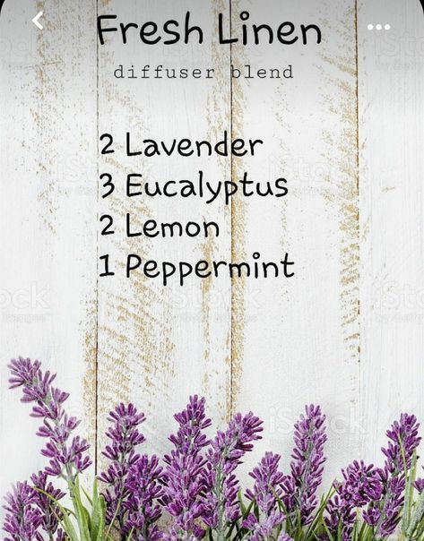 Essential Oil Combinations, Doterra Essential Oils Recipes, Essential Oil Diffuser Blends Recipes, Essential Oils Guide, Essential Oil Spray, Against The Grain, Diy Aromatherapy, Essential Oils Herbs, Essential Oils Health