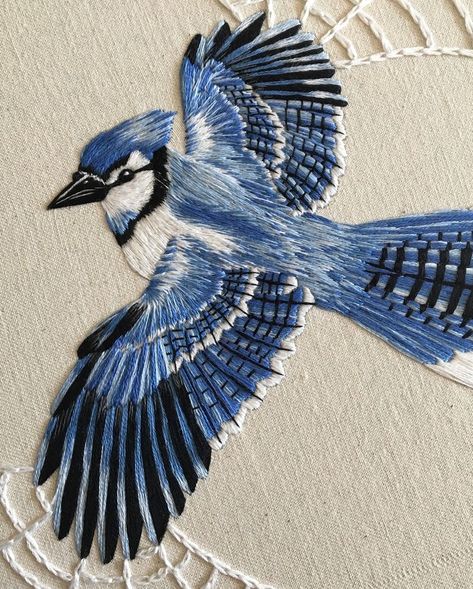 I’m super excited and grateful that my bluejay embroidery will be featured in this year’s edition of @windhover_  And next Friday April 13th it will be on display at @artspacenc for the Windhover release party, go and support!...#embroidery #handembroidery #contemporaryembroidery #embroideryart #hoopart #needlework #modernneedlework #dmcembroidery #dmcthreads #needleworksociety #embroideryinstaguild #paintingwiththread #bluejay #spiderweb Sulaman Pita, Contemporary Embroidery, Embroidered Bird, Bird Embroidery, Thread Painting, Animal Embroidery, 자수 디자인, Sewing Embroidery Designs, Hand Embroidery Art