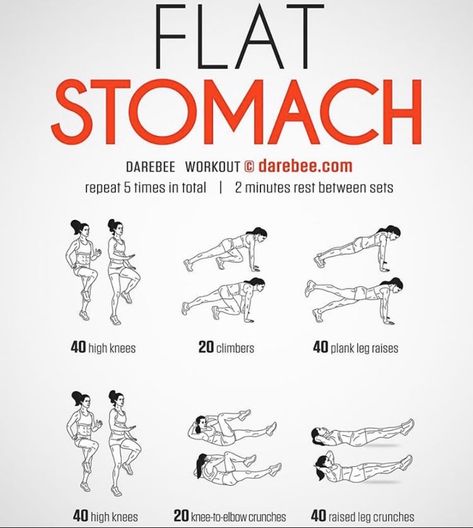 Abb Workouts, Flat Stomach Workout, Workout For Flat Stomach, Quick Workout Routine, Workout Without Gym, At Home Workout Plan, Gym Workout For Beginners, Flat Stomach, Gym Workout Tips