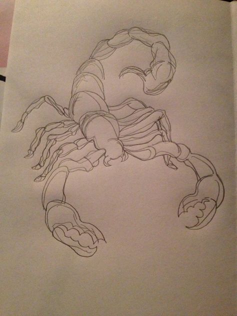 How To Draw Scorpion, Scorpion Tail Drawing, How To Draw A Scorpion, Scorpion Drawing Simple, Scorpion Painting, Scorpion Sketch, Drawing Scorpion, Scorpio Drawing, Scorpion Drawing