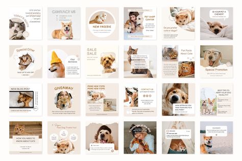 Pet Branding, Cat Instagram, Dog Grooming Salons, Dog Salon, Dog Store, Animal Hospital, Small Business Owners, Happy Animals, Cat Rescue