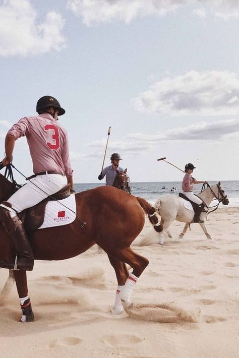 The Yale/Harvard Polo match is insanely competitive! Polo Sport Aesthetic, Rwrb Aesthetic, Old Money Sports, Polo Players, Harvard Yale, Horse Polo, Sport Aesthetic, Animal Movement, Polo Horse