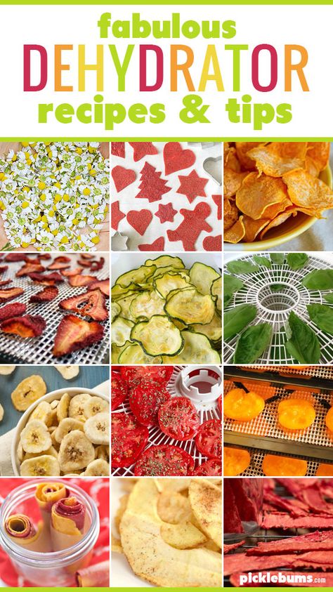 Dry! Dry! Dry! Fabulous Dehydrator Recipes and Tips. - Picklebums Nutrichef Dehydrator Recipes, Best Dehydrated Foods, Things You Can Dehydrate, Dried Food Recipes, Good Dehydrator Recipes, Foods That Can Be Dehydrated, Pampered Chef Dehydrator Recipes, How To Dehydrate Butter, What Can I Dehydrate