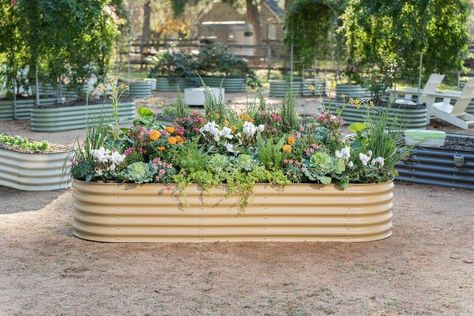 Vego Garden (@vego_garden) • Instagram photos and videos Modular Garden Beds, Modular Raised Garden Beds, Outdoor Raised Garden Beds, Vego Garden, Soil Contamination, Full Sun Shrubs, Raised Garden Bed Kits, Raised Garden Bed Plans, Raised Planter Beds