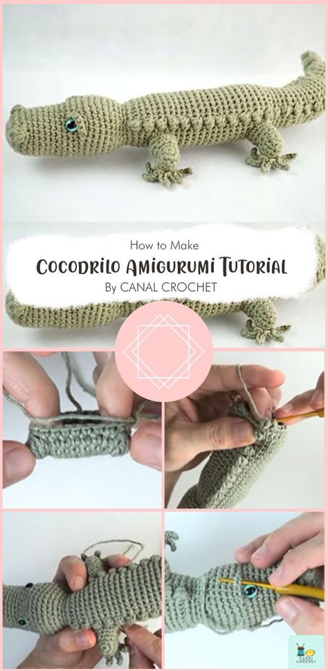 Simple and fun pattern to make Cocodrilo amigurumi By CANAL CROCHET. This toy works up quickly and can be easily customized with different colors. Amigurumi Tutorial, Pattern Ideas, Wild Animal, Amigurumi Toys, Cool Patterns, Amigurumi Pattern, Crochet Amigurumi, Free Crochet Pattern, Free Crochet