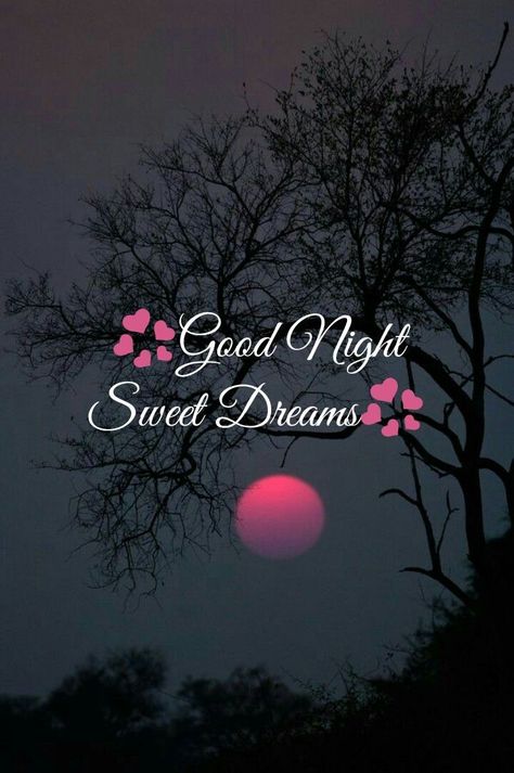 Good Night Greetings Quotes, Goodnight Friends Sweet Dreams, Beautiful Good Night Images With Quotes, Good Night Sweet Dreams My Love, Beautiful Good Night Images Sweet Dreams, Good Night Wishes Good Night Wishes Beautiful, Good Night Sweet Dreams Cute Beautiful, Sweet Dreams Good Night Gif, Good Night Sweet Dreams I Love You