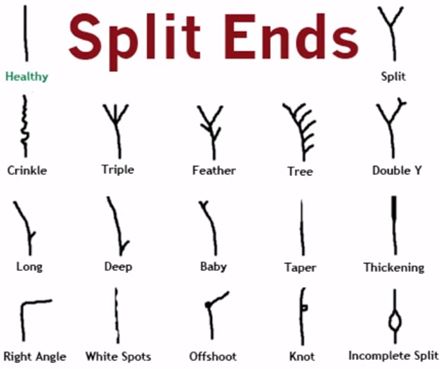 The 16 types of split ends Castor Oil Eyebrows, Hair Growth Charts, Stop Hair Breakage, Types Of Hair, Split Hair, Natural Hair Tips, Hair Breakage, Split Ends, Hair Pictures