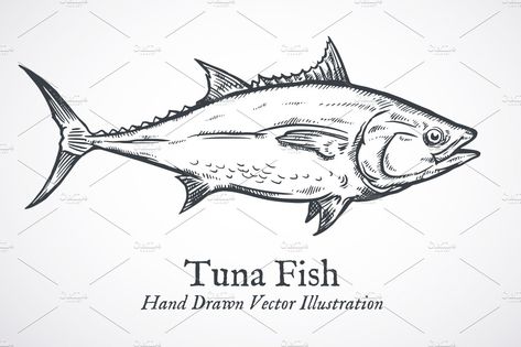 Tuna fish engraving vector by Ledokolua on @creativemarket Tuna Fish Drawing, Fish Sketch, Bluefin Tuna, Tuna Fish, Fish Drawings, Scientific Illustration, Drawing Inspiration, Sketch Book, Fish