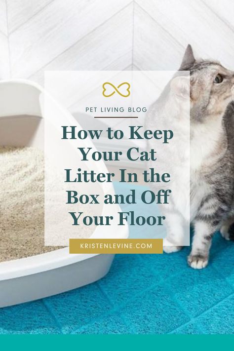 Tired of cat litter cleanup? Stepping onto a floor covered with cat litter is miserable and gross. Read this blog post for how to keep cat litter in the box and off your floor. #catlitter #catlitterandhousebreaking #cleaningtips #cleanhome #catlove How To Keep Litter From Going Everywhere, How To Keep Cat Litter Off The Floor, Pine Cat Litter, Tidy Cat Litter, Cat Litter Cabinet, Litter Tracking, Best Cat Litter, Tidy Cats, Cat Parents