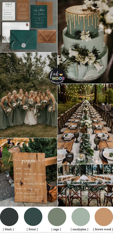 Sage Green Wedding Theme, Sage Green Wedding Colors, Forest Green Wedding, Wedding Theme Color Schemes, Green And White Wedding, Wedding Color Scheme, Wedding Color Pallet, Forest Theme Wedding, Country Videos