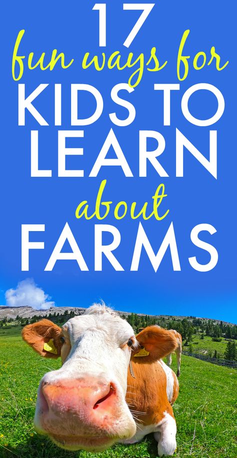 Farm Lesson Plans for Preschool, Kindergarten and Up. Farm lessons free printables. Student farm lessons for kids. Farm animals activities. Farm animals crafts for kids. #farm #farming #farmanimals #lessons #homeschool #preschool #homeschooling #teaching Farm Lesson Plans For Preschool, Farm Unit Study, Animals On The Farm, Preschool Homeschooling, Farm Lessons, Animals Crafts, Animals Activities, Fun Lesson Plans, Farm Animals Activities