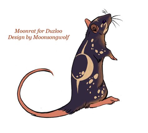 #moon #rat ! // i love this since my rats' names are Saturn & Jupiter :) Rat Tattoo, Rat Art, Night Sky Moon, Cute Rats, A Rat, Sky Moon, Pet Rats, Animal Sketches, Cute Animal Drawings