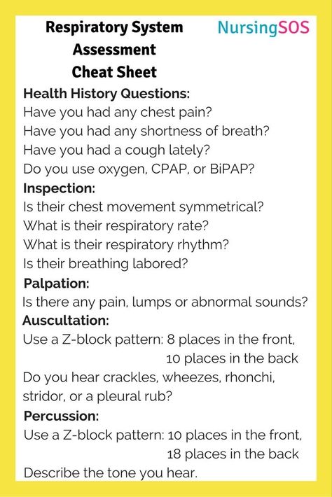 Respiratory Assessment, Respiratory Nursing, Respiratory Medicine, Cardiac Assessment, Cna School, Nursing Skills, Nursing School Scholarships, Nurse Practitioner School, Nursing School Prerequisites