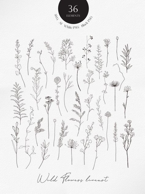 Make beautiful products with beautiful wild flowers drawn in line art.Make beautiful products with beautiful wild flowers drawn in line art. Wild Flower Svg, Flower Vine Tattoos, Flower Bouquet Drawing, Flower Bouquet Tattoo, Wildflower Drawing, Bouquet Tattoo, Wildflower Tattoo, Flower Line Drawings, Minimalist Flower