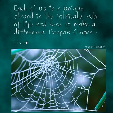 Man did not weave the web of life, he is merely a strand in it. Description from pandawhale.com. I searched for this on bing.com/images Spider Web Quotes, Spider Quotes, Pagan Quotes, Web Quotes, Wiccan Quotes, October Lessons, Web Of Life, Spiritual Psychology, Facebook Quotes