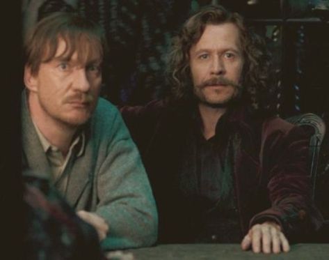 sirius black and remus lupin-order of the phoenix Lupin Harry Potter, David Thewlis, Stile Harry Potter, Remus And Sirius, Harry Potter Wall, Arte Doodle, Images Harry Potter, Harry Potter Ships, Harry Potter Pictures