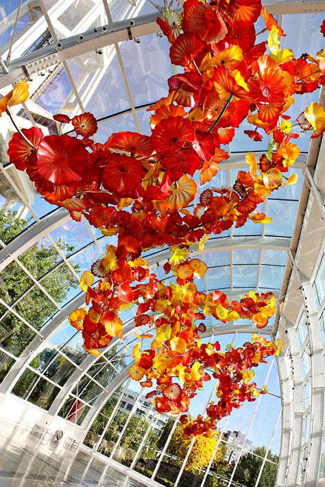 Chihuly Garden and Glass, Seattle WA // cultural chromatics Chihuly Garden, Scenic Road Trip, San Juan Island, Dale Chihuly, Glass Museum, Glass Installation, Washington Usa, Arizona Travel, Chihuly