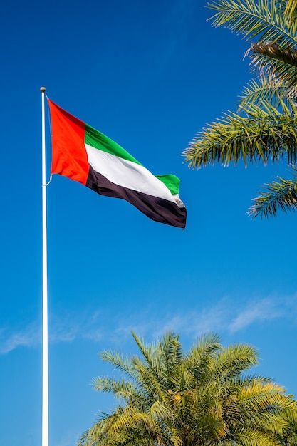 Photo a united arab emirates flag flying... | Premium Photo #Freepik #photo #emirates #uae #abu-dhabi #dubai Dubai Flag, United Arab Emirates Flag, Emirates Flag, Uae Flag, Dream Holidays, Uae National Day, Abu Dhabi Grand Prix, Kevin Costner, Travel Locations