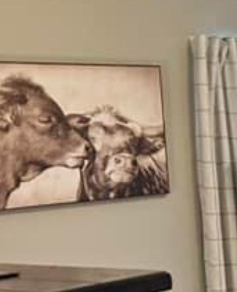 Hobby Lobby Cow Wall Art, Kiss Canvas, Cow Kitchen Decor, Cow House, Hobby Lobby Decor, Spring Wall Decor, Art Hobby, Highland Cow Canvas, Wall Decor Hobby Lobby