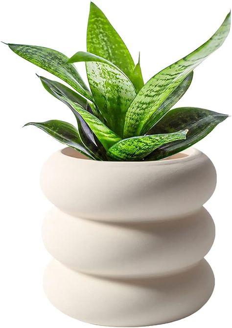 Amazon.com : SANDYBAYTAS Ceramic Plant Pot Indoor, 4.5 Inch Beige Unglazed Flower Pot with Drainage Hole, Small Bubble Design Ceramic Planter for Home & Office Decor : Patio, Lawn & Garden Amazon Flowers, Plant Pot Indoor, Small Terracotta Pots, White Ceramic Planter, Ceramic Planter Pots, Bubble Design, Beige Ceramic, Terracotta Plant Pots, Unique Planter