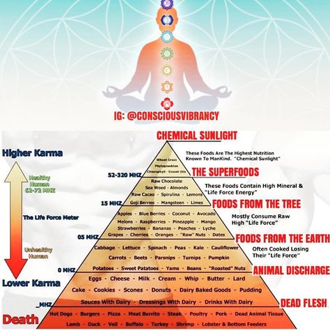 13 Likes, 2 Comments - Len Gilmer (@dark_djedi) on Instagram: “#chakrabalancing #chakras #spirituality #energyiseverything #lawsofattraction #lawsoftheuniverse…” High Energy Foods, Food Pyramid, Energy Foods, High Vibrational, Life Force Energy, Cosmic Energy, E Mc2, High Vibes, Living Things