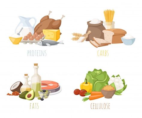 Healthy nutrition, proteins fats carbohy... | Premium Vector #Freepik #vector #food #fish #fitness #fruit Fitness Breakfast, Best Diet Drinks, Carbohydrates Food, Healthy Filling Snacks, Fat Foods, Food Concept, Healthy Snacks For Diabetics, Food Drawing, Protein Snacks