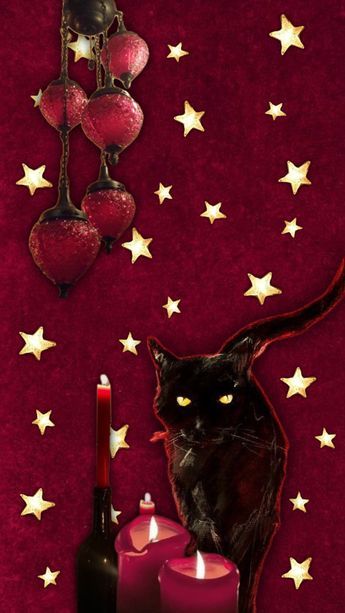 Check out ou1jawra1th's Shuffles 🌞🫀🌜🥩🌓 #whimsigoth #red #wiccan #witchcraft #blackcat #stars #redaesthetic #redwhimsigoth Red Whimsigoth Aesthetic, Tilly Core, Red Whimsigoth, Pinterest Contest, Green Room, Witch Aesthetic, Whimsical Design, Green Rooms, Red Aesthetic