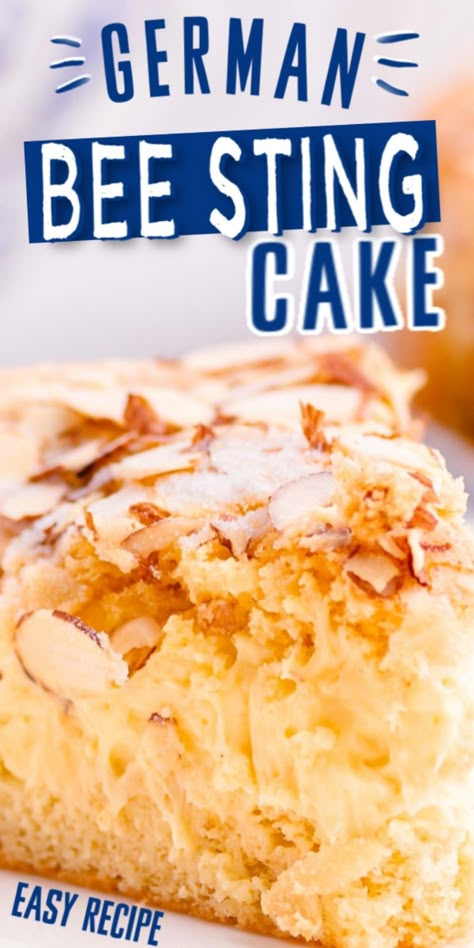 a slice of freshly baked German bee sting cake (Bienenstich) German Desserts Traditional, German Yeast Cake, German Deserts Easy, German Recipes In English, Prize Winning Desserts, German Cakes Traditional, German Kuchen Recipes, German Treats, German Bee Sting Cake