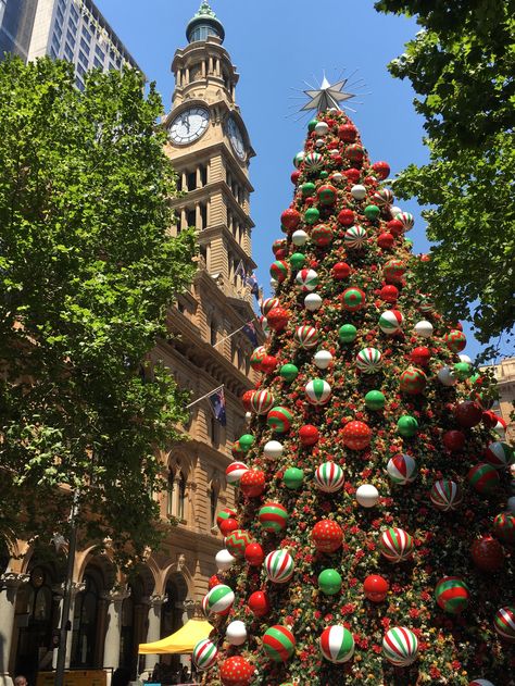 Merry Christmas from Sydney Christmas Australia Aesthetic, Christmas In Australia Aesthetic, Aussie Christmas Aesthetic, Australian Christmas Aesthetic, Sydney Christmas, Christmas Australia, Australia Aesthetic, December Mood, Aussie Summer