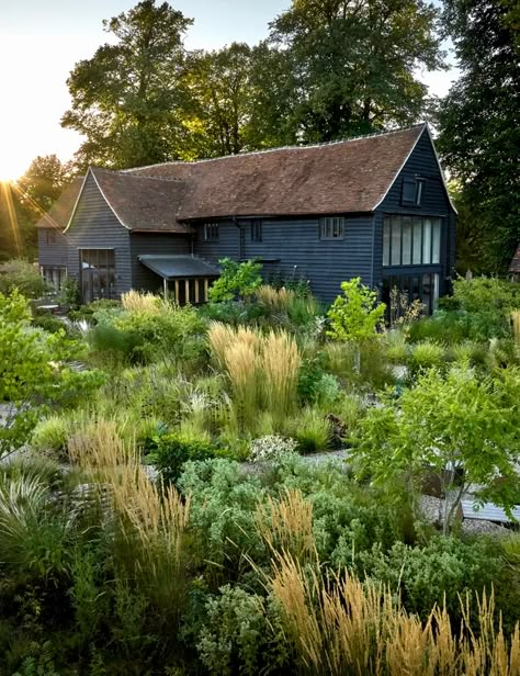 Ecological Garden, Naturalistic Garden, Perennial Vegetables, Landscape Construction, Kew Gardens, Front Garden, Backyard Design, Garden Styles, Garden And Yard