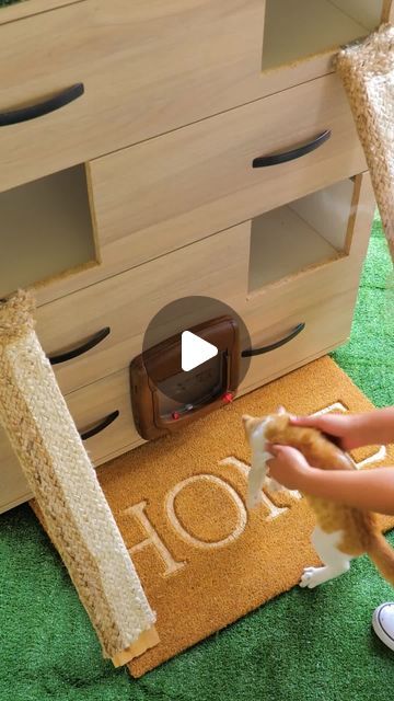 5-Minute Crafts Decor on Instagram: "The old dresser is transformed into a kitty house 😻

#petparenting #oldtonew #recycle #oldfurniturerestoration #idea #diy #cat #catlovers #5minutecrafts #decor" Repurposed Cat Furniture, Hidden Cat Room, Armoire Cat Condo, Diy Cat Furniture Ideas, Diy Cat Feeding Station Dog Proof, Diy Cat Stuff Furniture, Cardboard Cat House Diy, Cat Room Ideas Diy, Cat Enrichment Ideas