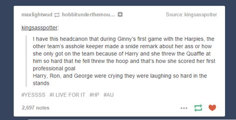 Yes! Headcanon about Ginny's first game as a pro quidditch player. Quidditch Headcanons, Headcanon Harry Potter, Hp Characters, Hp Universe, Harry Potter Memes Hilarious, Harry Potter Feels, Harry Potter Ravenclaw, Draco Harry Potter, Harry Potter Headcannons