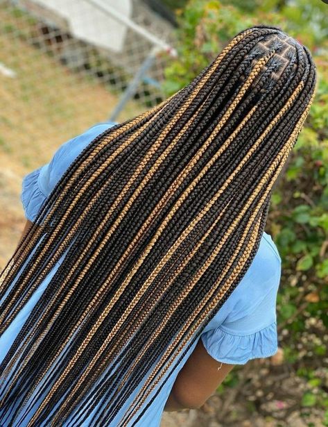 Trending Hair Styles 2022 Braids, Peak A Boo Braids Brown, Cool Braided Hairstyles For Long Hair, Braided Hair Colors, Braids 2023 Trends, Long Braids For Black Women With Color, Small Knotless Color, 2023 Braid Hair Trends For Black Women, Trending Braids 2023